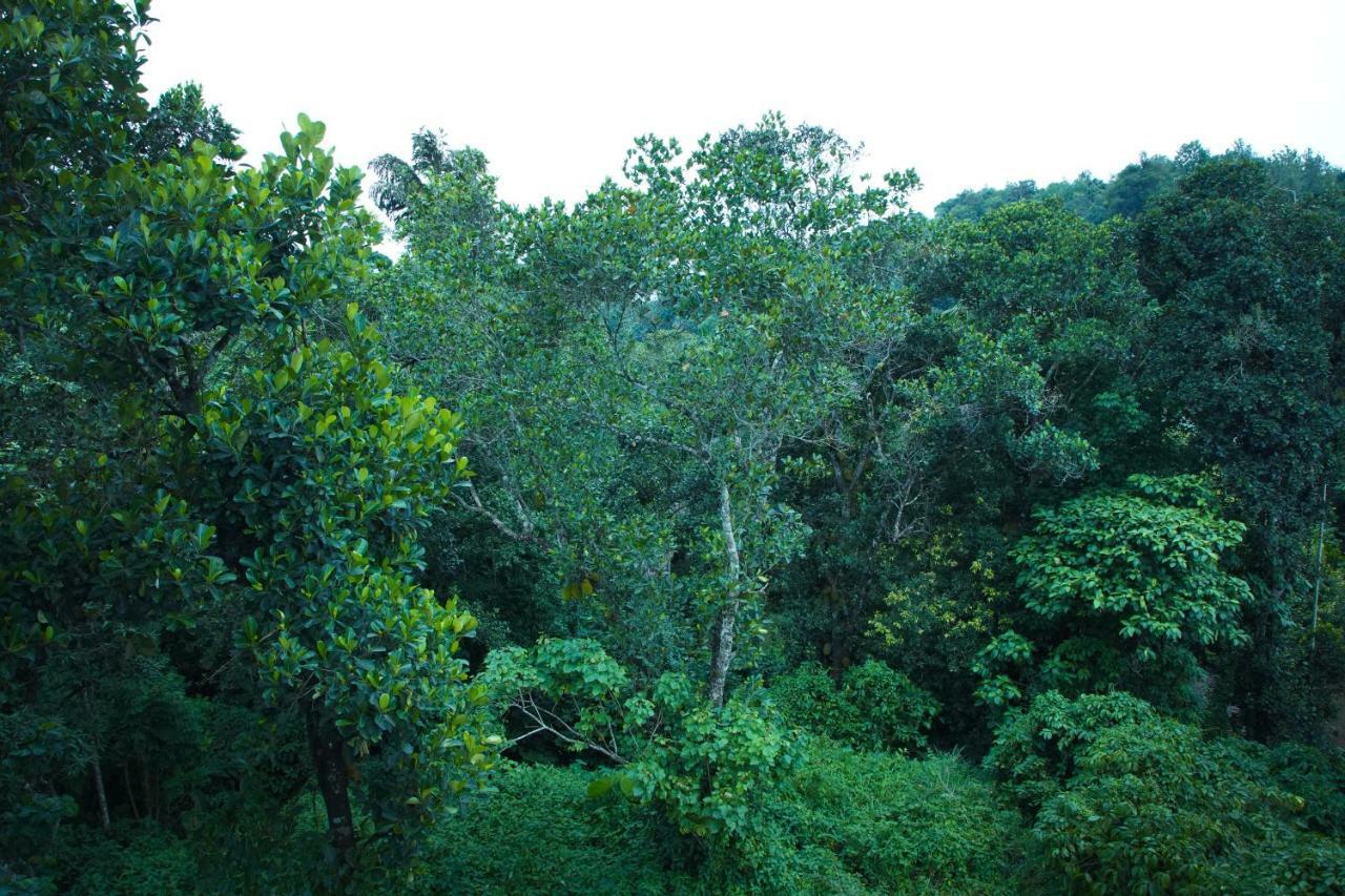 Lamond Holidays Munnar Exterior foto